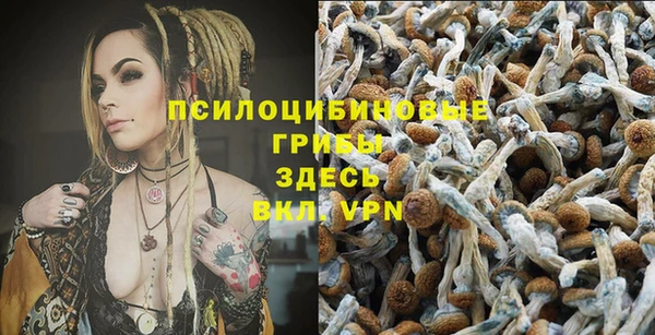 бошки Богданович