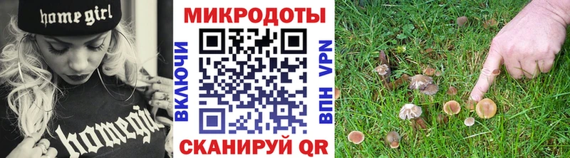 хочу наркоту blacksprut Галлюциногенные грибы Psilocybine cubensis Брянск